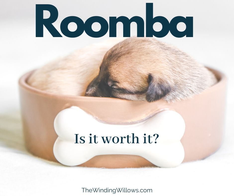 Roomba Facebook